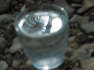 milenarts-Danube-water