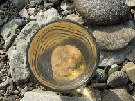 milenarts-Danube-water