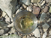 milenarts-Danube-water