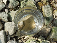 milenarts-Danube-water