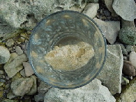 milenarts-Danube-water