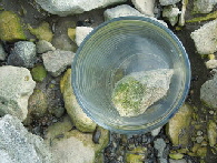 milenarts-Danube-water