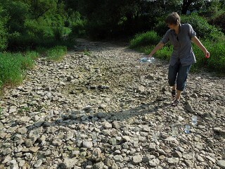 milenarts-Danube-water