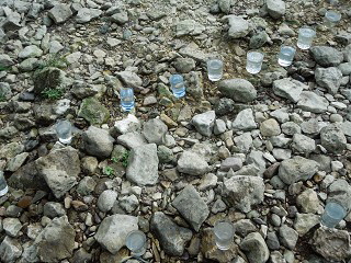 milenarts-Danube-water