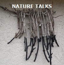 Nature talks