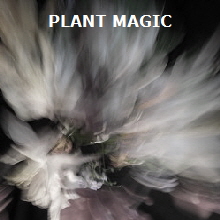 Plant magic